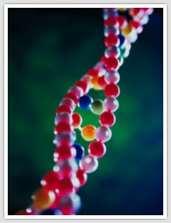 a colorful strand of dna