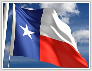 the state of Texas flag