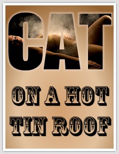 Cat on a Hot Tin Roof