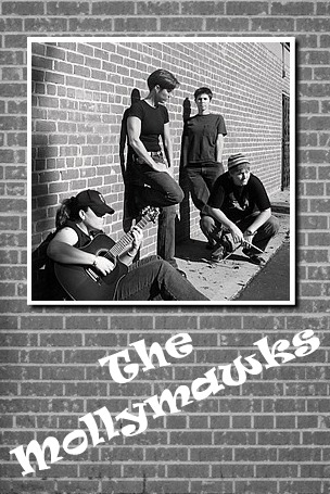 photo of The Mollymawks